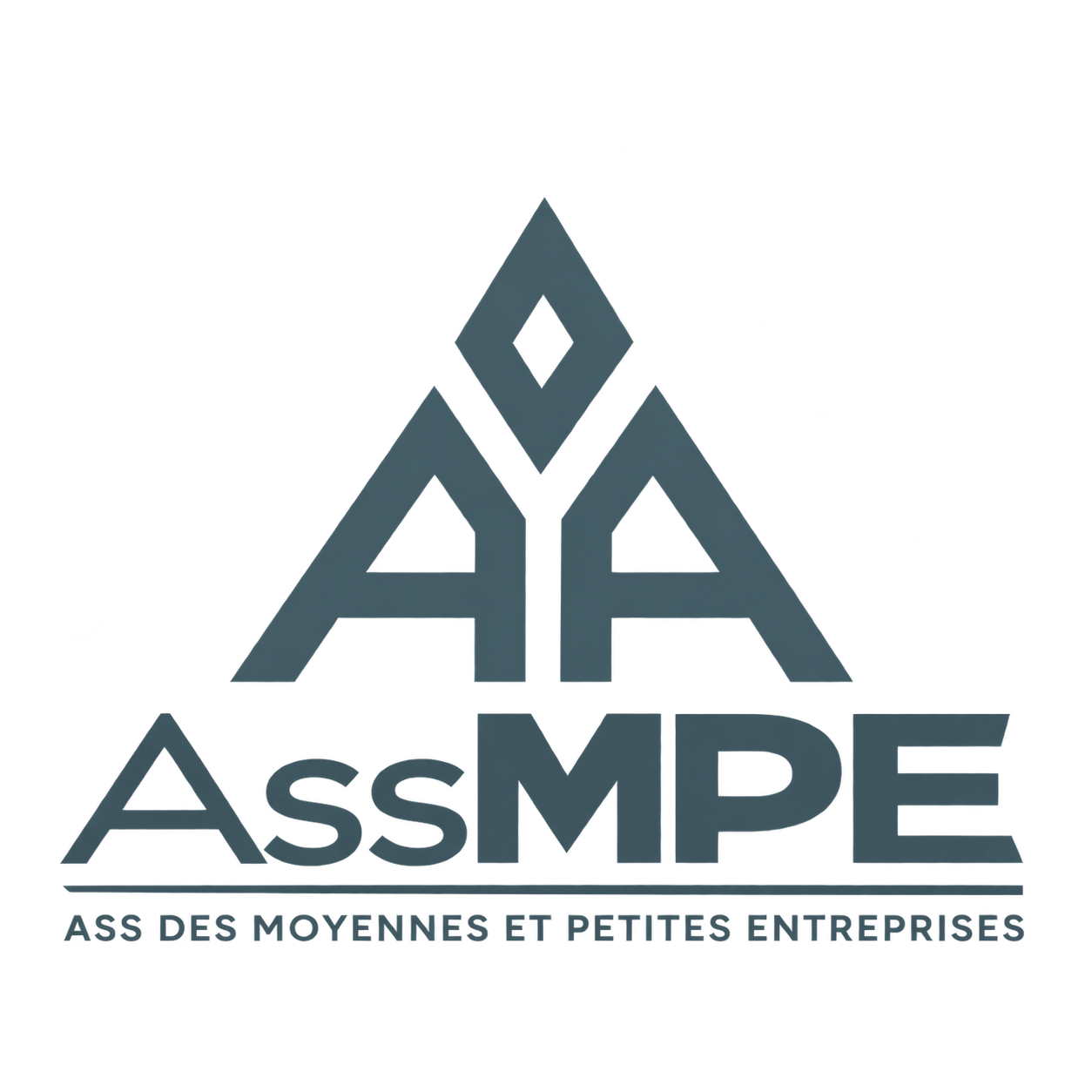 ASS DES MOYENNES ET PETITES ENTREPRISES — AssMPE